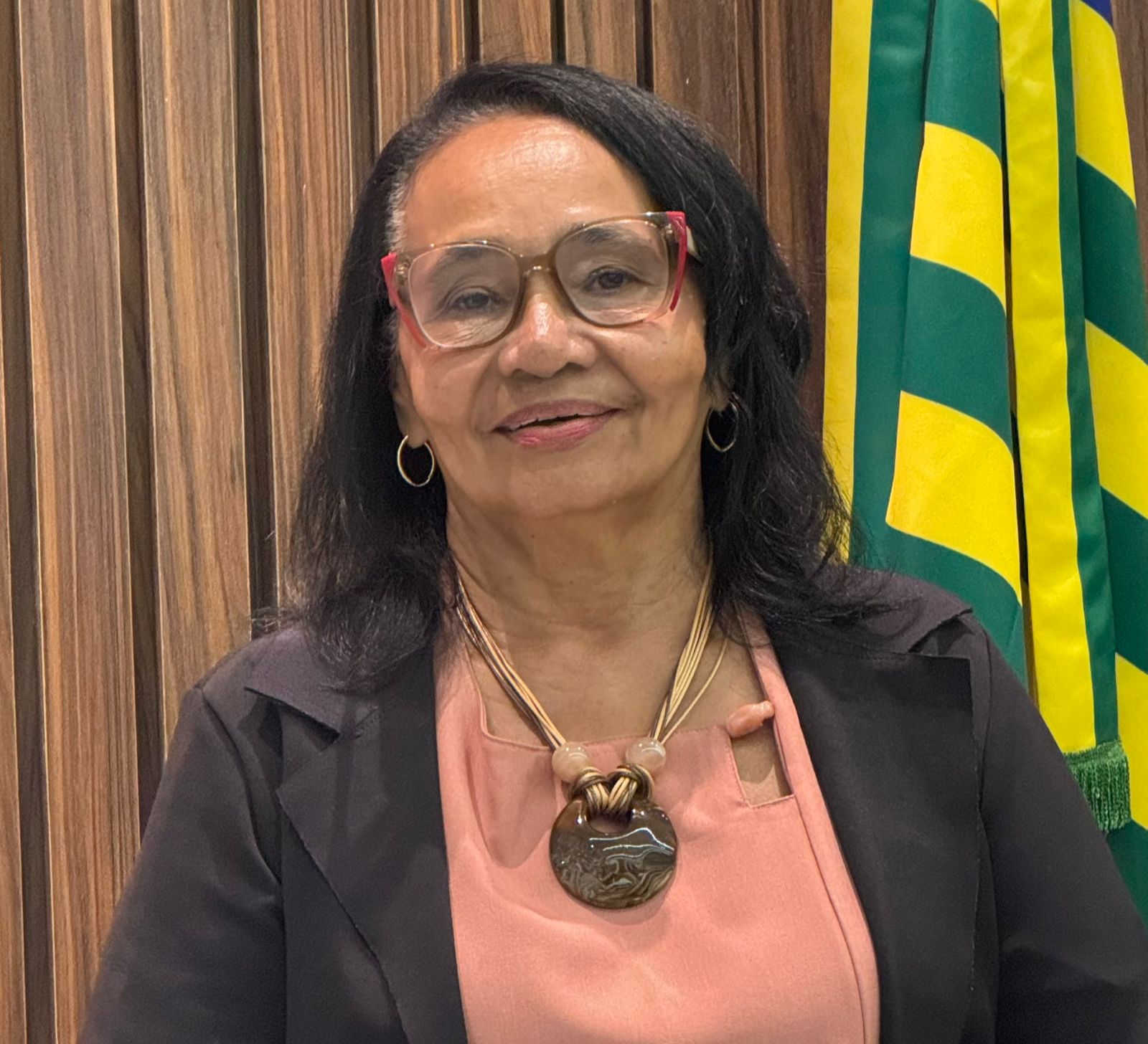 Vereadora Maria Luíza tem requerimento aprovado para instalação de placas de identificação de ruas em Corrente