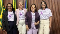 Vereadoras de Corrente destacam a campanha do “Agosto Lilás’’ 